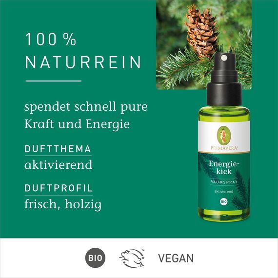 PRIMAVERA Raumspray Energiekick bio 50 ml - Douglasfichte, Weißtanne und Grapefruit - Aromadiffuser, Aromatherapie - aktivierend - vegan