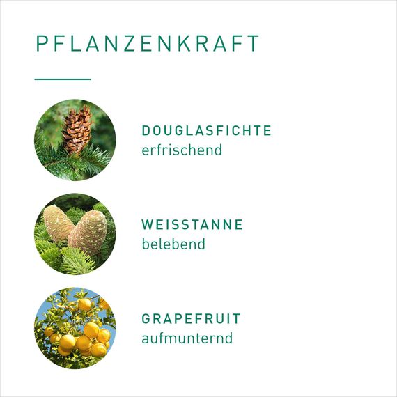 PRIMAVERA Raumspray Energiekick bio 50 ml - Douglasfichte, Weißtanne und Grapefruit - Aromadiffuser, Aromatherapie - aktivierend - vegan