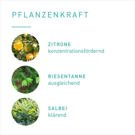 PRIMAVERA Raumspray Konzentration bio 50 ml - Zitrone, Riesentanne und Salbei - Aromadiffuser, Aromatherapie - konzentrationsfördernd - vegan