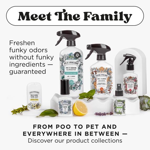 Poo-Pourri Before-You-Go Toilettenspray, Royal Flush, Reisegröße 10 ml, Eukalyptus und grüne Minze