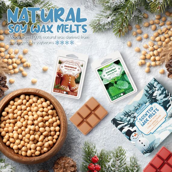 SALKING Winter Duftwachs Wax Melts für Duftlampe, 100% Sojawachs Raumduft Duftkerze, Wax Melts für Kerzen Wärmer, Weihnachtskranz und Lebkuchen Düfte Geschenk Set für Halloween, Weihnachten, 8 Düfte