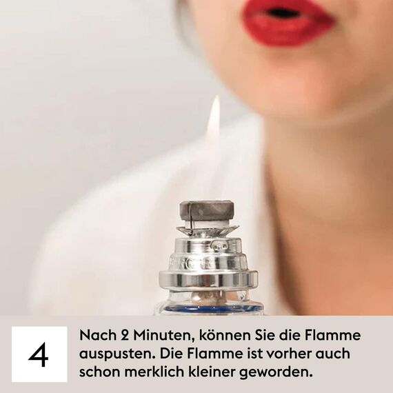 Maison Berger – Nachfüllung Einzigartige Gojibeeren 500 ml für Lampe Berger – 2-in-1 geruchsneutralisierendes Raumduft-Öl – Gojibeeren, Mandarine