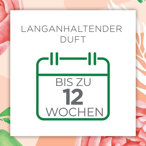 Air Wick Duftvase – Duft: Pfingstrose und Anjou-Birne – Mit natürlichen ätherischen Ölen – 1 x 200 ml Raumduft mit Stäbchen