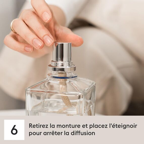 Maison Berger – Nachfüllung Lolita Lempicka Sweet 500 ml für Lampe Berger – 2-in-1 geruchsneutralisierendes Raumduft-Öl – Kirsche, Kakao