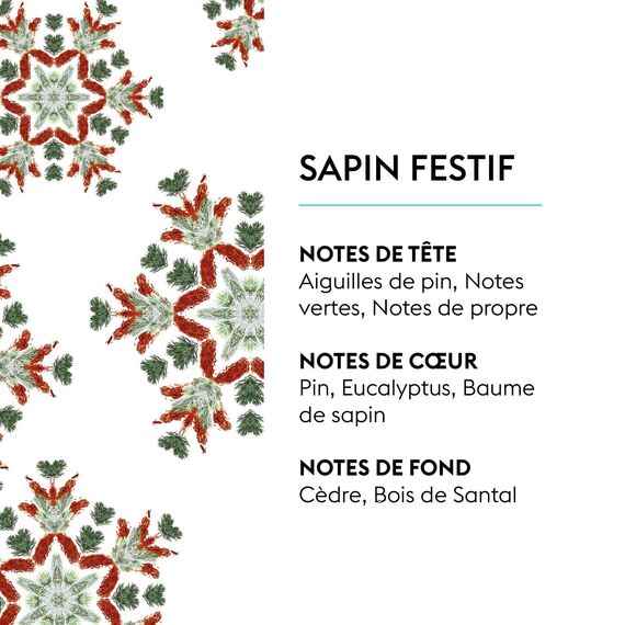 Maison Berger – Nachfüllung Unter dem Tannenbaum 500 ml für Lampe Berger – 2-in-1 geruchsneutralisierendes Raumduft-Öl – Piniennadeln, Eukalyptus