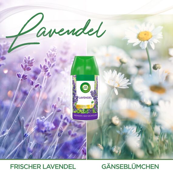 Air Wick Freshmatic Max Raumspray – Nachfüller für den Air Wick Freshmatic Max – Duft: Lavendel – 6 x 250 ml Nachfüller
