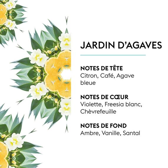 Maison Berger – Nachfüllung In den Agaven-Gärten 500 ml für Lampe Berger – 2-in-1 geruchsneutralisierendes Raumduft-Öl – Blaue Agave, Vanille