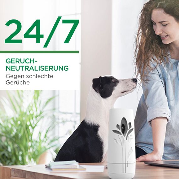 Air Wick Freshmatic Max Raumspray DUO – Nachfüller für den Air Wick Freshmatic Max – Duft: Lavendel – 2 x 250 ml Nachfüller Raumduft und Lufterfrischer