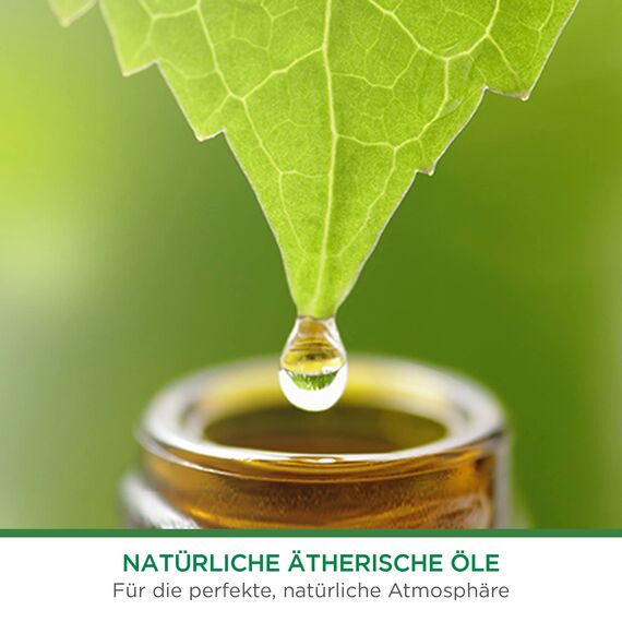 Air Wick Freshmatic Max PURE – Nachfüller für den Air Wick Freshmatic Max – Duft: Frische Wäsche – 2 x 250 ml Nachfüller