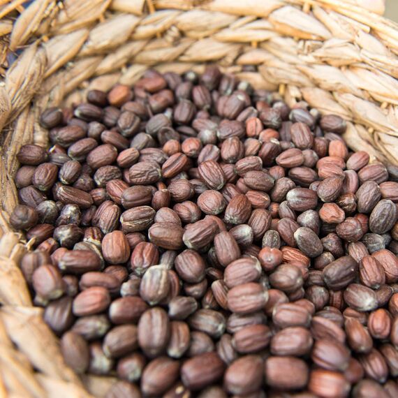 WELEDA Bio Mama Schwangerschaftsöl - Naturkosmetik Babybauch Massageöl zur Dehnungsstreifen Vorbeugung. Hautpflege Schwangerschaft Narbenöl mit Jojobaöl verbessert die Hautelastizität (vegan, 100ml)