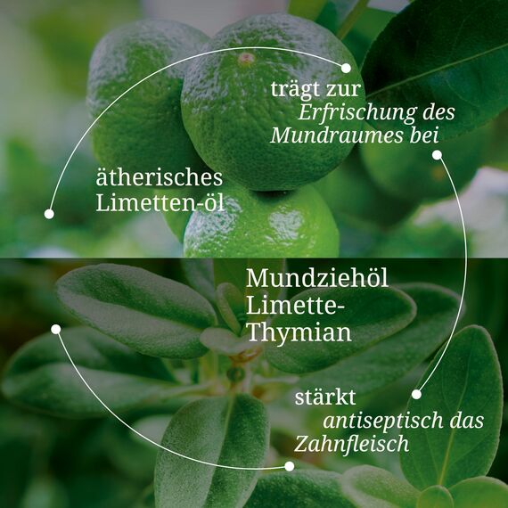 BÄRBEL DREXEL® Natürliches Mundziehöl Limette Thymian (250ml) Ayurvedische Mundspülung zum Entgiften 100% Vegane Herstellung Deutschland Ölziehkur Mundöl Ölziehen Zahnöl