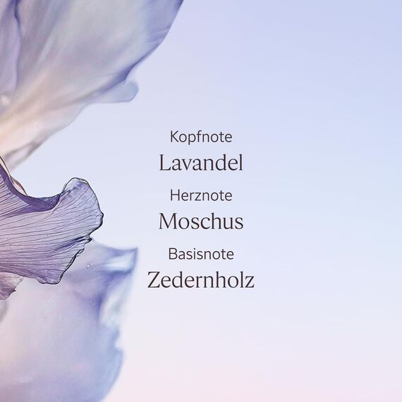 L'OCCITANE - Handcreme Weißer Lavendel - 30 ml - In Frankreich hergestellt