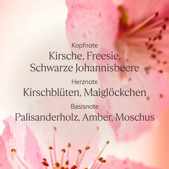 L'OCCITANE - Handcreme Kirschblüte - 30 ml - In Frankreich hergestellt