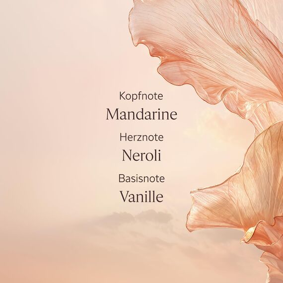 L'OCCITANE - Duft-Handcreme Neroli Orchidee - 75 ml - In Frankreich hergestellt