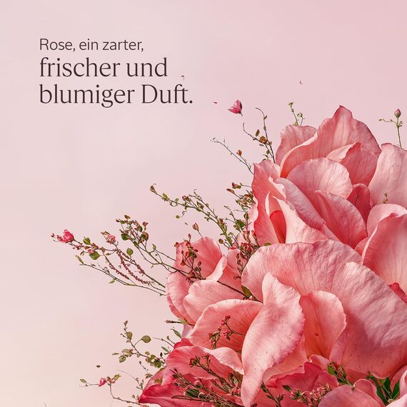 L'OCCITANE - Handcreme Rose - 75 ml - In Frankreich hergestellt