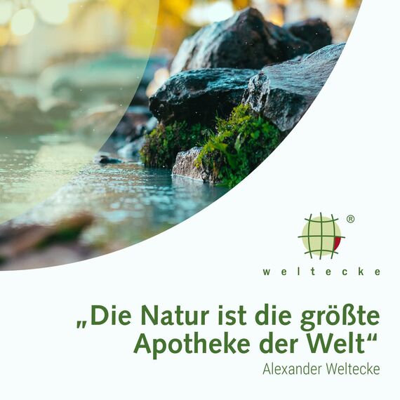 Weltecke Basisches Badesalz 2.800 g | Basen-Bad zur Entgiftung & Entsäuerung | Made in Germany | 100% vegane Haut-Pflege | Perfekt für ein Vollbad, Sitzbad, Fußbad oder Handbad | Wellness-Badesalz