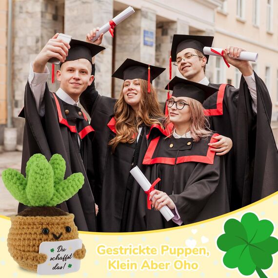 WenmthG Positive Sukkulente Ermutigung Geschenke Glücksbringer Prüfung, Gestrickte Sonnenblume Puppe Gute Besserung Geschenke, Mutmacher Geschenk Positive Kartoffel Deutsch Ersatz