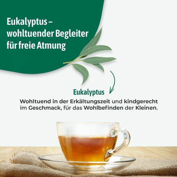 Bad Heilbrunner Bio Erkältungs Tee für Kinder – Arzneitee mit Eucalyptusblättern zur Unterstützung bei Erkältungskrankheiten der Atemwege, (12 x 8 Filterbeutel)