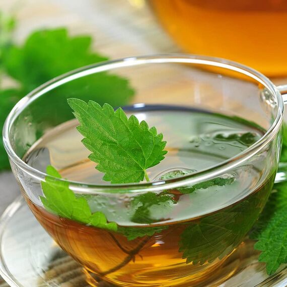 Meßmer Brennnessel-Mango | 20 Teebeutel | Vegan | Glutenfrei | Laktosefrei