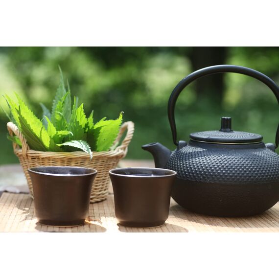 Meßmer Darjeeling | 25 Teebeutel | Blumig-lieblich | Feiner Schwarztee aus Darjeeling