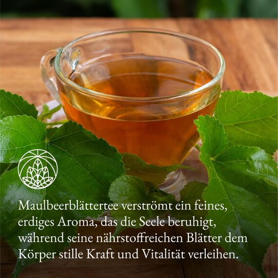 Maulbeerblätter Tee Monte Nativo (300g) - Mulberry Leaf Tea schonend getrocknet - 100% natürlich und ohne Zusatzstoffe - Aromatischer Kräutertee für einen köstlichen Aufguss
