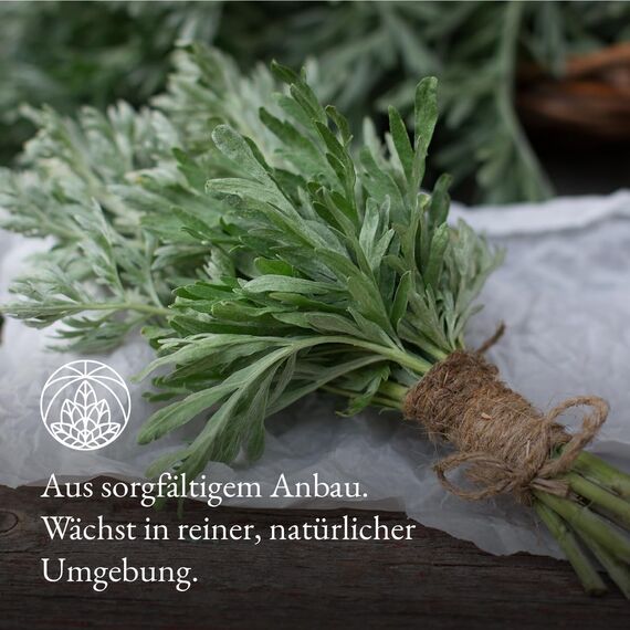 Wermutkraut Monte Nativo (300g) - Wermut Tee (Wormwood) schonend getrocknet - 100% natürlich und ohne Zusatzstoffe - Aromatischer Kräutertee für einen köstlichen Aufguss