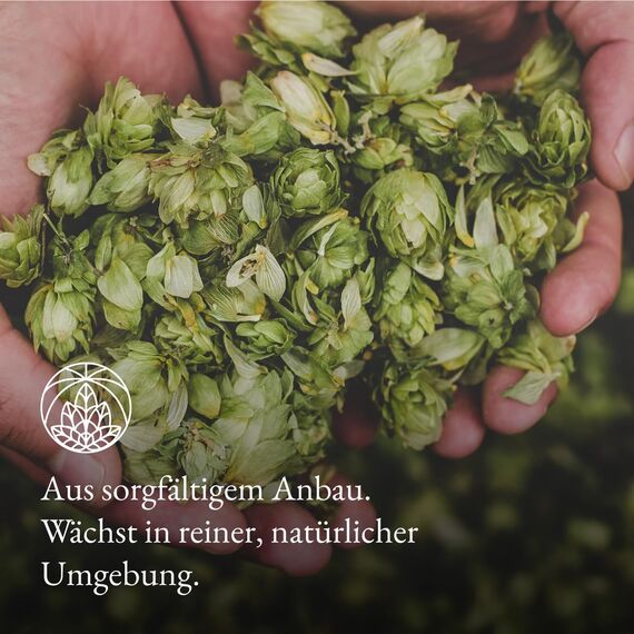 Hopfenblüten ganz Monte Nativo (150g) - Hopfentee schonend getrocknet aus aromatischer Hopfenblüten - 100% Natürlich Hops, Hopfen Tee ohne Zusatzstoffe - Kräutertee für einen köstlichen Aufguss