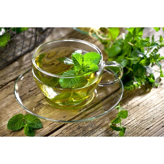 Meßmer Bio Grüner Tee | fein-herb | 20 Teebeutel | Vegan | Glutenfrei | Laktosefrei