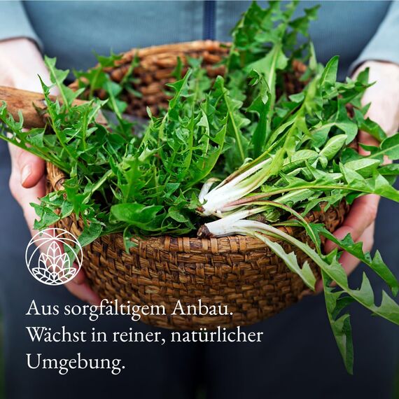 Löwenzahntee Monte Nativo (300g) - Löwenzahn Tee (Dandelion Tea) schonend getrocknet - 100% natürlich und ohne Zusatzstoffe - Aromatischer Kräutertee für einen köstlichen Aufguss