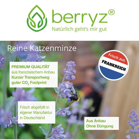 Katzenminze XXXL 100% Lebensmittelqualität aus französischem Anbau ohne Düngung | Katzenminzetee | Nepeta cataria ideal auch für Katzenspielzeug Catnip