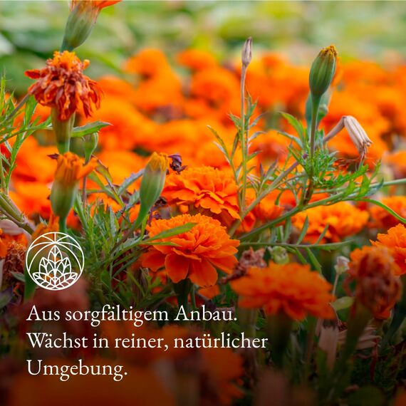 Ringelblumentee Monte Nativo (300g) - Ringelblumenblüten (Calendula Officinalis) für Ringelblumen Tee, Seifen, Lotionen - 100% natürlich und ohne Zusatzstoffe - Aromatischer Kräutertee