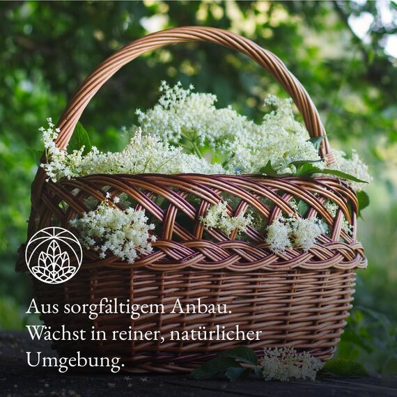 Holunderblütentee Monte Nativo (200g) - Holunderblüten schonend getrocknet als Holundertee - 100% natürlich und ohne Zusatzstoffe - Aromatischer Kräutertee für einen köstlichen Aufguss
