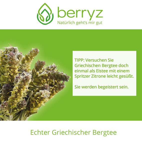Griechischer Bergtee | Wunderbar erfrischendes Aroma | Sideritis Scardica | Eisenkraut | Berufskraut