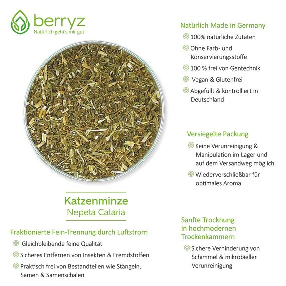 Katzenminze XXXL 100% Lebensmittelqualität aus französischem Anbau ohne Düngung | Katzenminzetee | Nepeta cataria ideal auch für Katzenspielzeug Catnip
