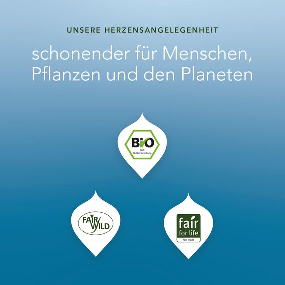 Pukka | Bio-Kräutertee „After Dinner“ | Anissamen, Fenchel, Kardamom und Kurkuma | Für dein inneres Strahlen | 1er Pack | 20 Teebeutel