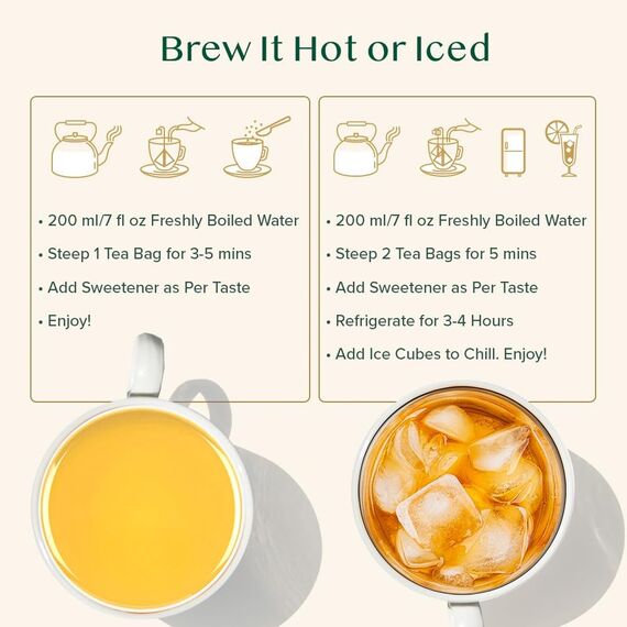 VAHDAM, Ingwer Minz Grüner Tee (100 Teebeutel) Grüner Blättertee mit rohem Ingwer | Geringer Koffeingehalt | GVO-frei, glutenfrei, Direkt aus Indien | Minzteebeutel | Grüntee