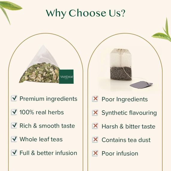 VAHDAM, Ingwer Minz Grüner Tee (100 Teebeutel) Grüner Blättertee mit rohem Ingwer | Geringer Koffeingehalt | GVO-frei, glutenfrei, Direkt aus Indien | Minzteebeutel | Grüntee