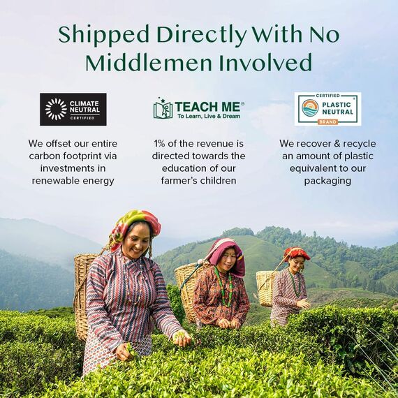 VAHDAM, Turmeric Ginger Kräutertee Beutel (30 Teebeutel) Koffeinfrei | Kurkuma & Gartenfrischen Gewürzen | Verpackt in Indien | Brühen Sie Heiß, Eis oder Kombucha Tee