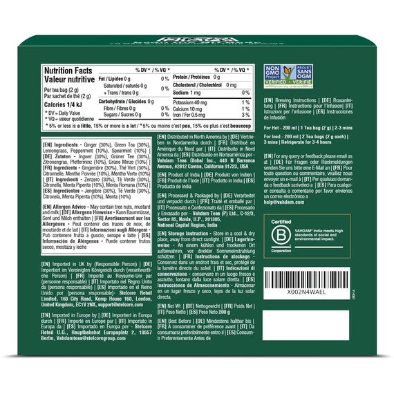 VAHDAM, Ingwer Minz Grüner Tee (100 Teebeutel) Grüner Blättertee mit rohem Ingwer | Geringer Koffeingehalt | GVO-frei, glutenfrei, Direkt aus Indien | Minzteebeutel | Grüntee