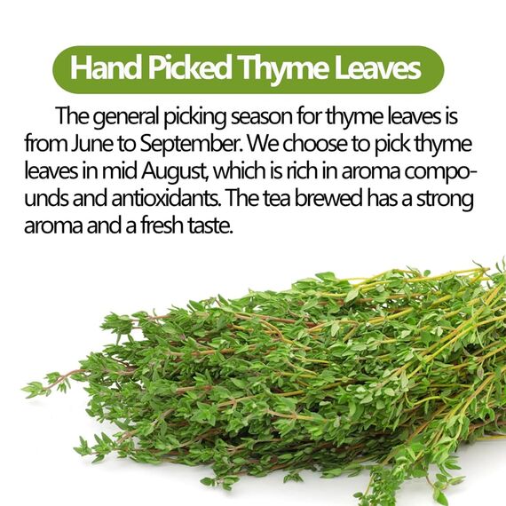 Thymian Tee, Kräutertee, natürliches Thymianblatt, Thymian Getrocknet vegan, 100 Teebeutel