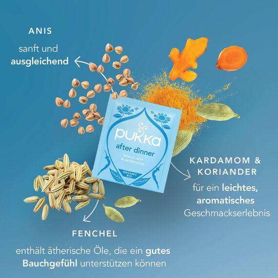 Pukka | Bio-Kräutertee „After Dinner“ | Anissamen, Fenchel, Kardamom und Kurkuma | Für dein inneres Strahlen | 1er Pack | 20 Teebeutel