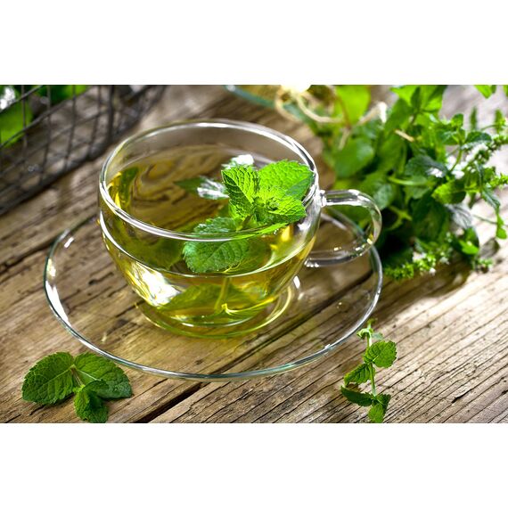 Meßmer Fresh Mint mit Spearmint | 23 Teebeutel | Intensiv-frisch | Vegan | Glutenfrei | Laktosefrei