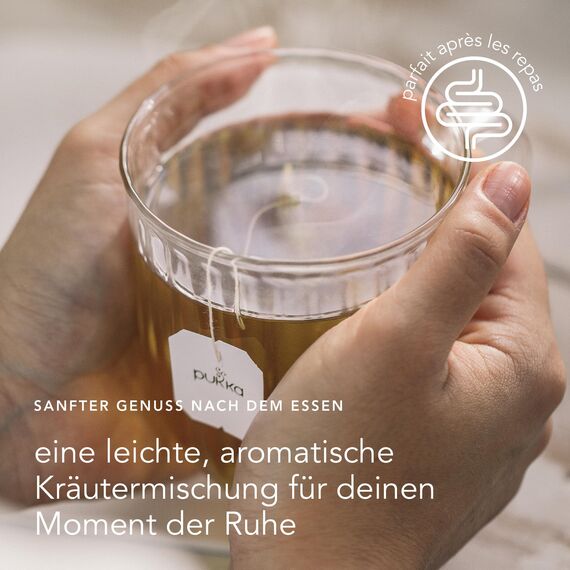 Pukka | Bio-Kräutertee „After Dinner“ | Anissamen, Fenchel, Kardamom und Kurkuma | Für dein inneres Strahlen | 1er Pack | 20 Teebeutel