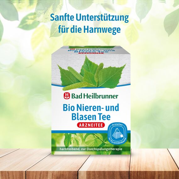 Bad Heilbrunner Bio Nieren- & Blasen Tee - Arzneitee im Pyramidenbeutel - Birkenblätter - bei Anzeichen einer Blasenentzündung - harntreibend - natürliche Linderung (4 x 12 Pyramidenbeutel)