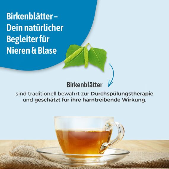 Bad Heilbrunner Bio Nieren- & Blasen Tee - Arzneitee im Pyramidenbeutel - Birkenblätter - bei Anzeichen einer Blasenentzündung - harntreibend - natürliche Linderung (4 x 12 Pyramidenbeutel)
