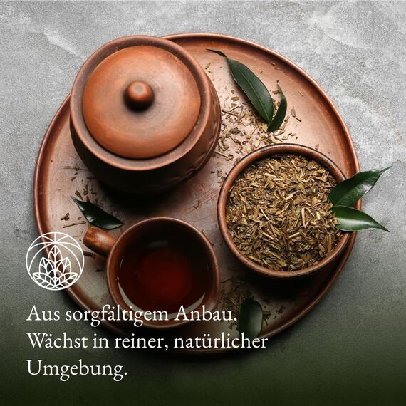 Sencha Grüner Tee lose Monte Nativo (200g) - Hochwertig und aromatisch Grüntee (Green Tea) - 100% natürlich und ohne Zusatzstoffe - Aromatischer Kräutertee für einen köstlichen Aufguss