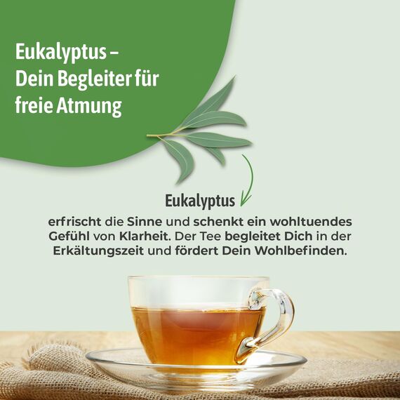 Bad Heilbrunner Bio Erkältungstee - Arzneitee im Pyramidenbeutel - Eukalyptus - lindernd & entzündungshemmend bei Erkältungen, Husten oder Schnupfen (4 x 12 Pyramidenbeutel)