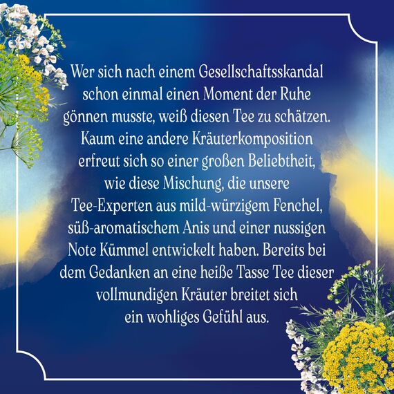 Meßmer Fenchel-Anis-Kümmel x Bridgerton Limited Edition | 25 Teebeutel | harmonisch (Packung mit 4)