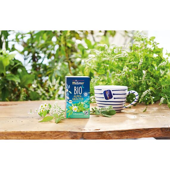 Meßmer Bio Alpenkräuter | 100% natürliche Zutaten | 20 Teebeutel | Vegan | Glutenfrei | Laktosefrei (Packung mit 4)