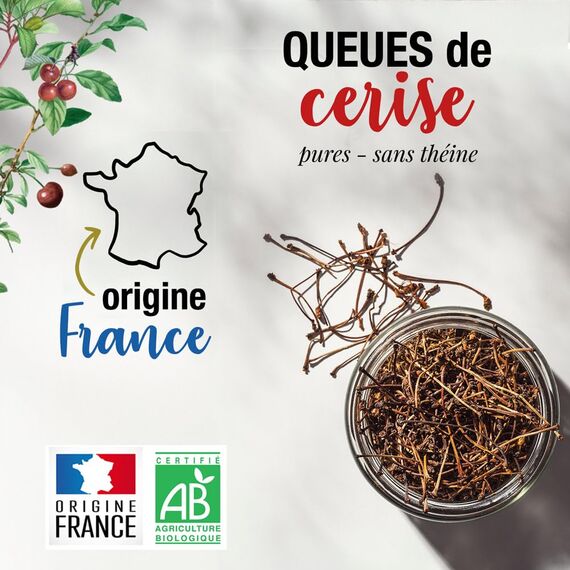 ORIGEENS BIO KIRSCHSTIELE TEE 100g, Herkunft Frankreich | Bio Kirschstängel, Detox und Diuretischer Kräutertee | Kirschenstängel Tee ganz und getrockne